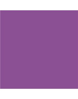 PLASTICO JUNOPROF MATE CALIDAD SUPERIOR (OFERTA) COLOR S 3050-R50B