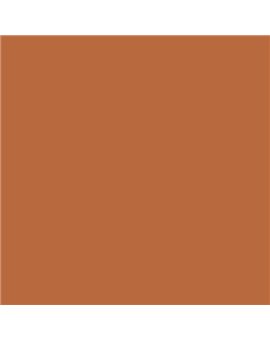 PLASTICO JUNOPROF MATE CALIDAD SUPERIOR (OFERTA) COLOR S 3050-Y50R