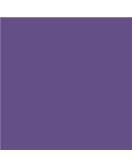 PLASTICO JUNOPROF MATE CALIDAD SUPERIOR (OFERTA) COLOR S 4040-R60B