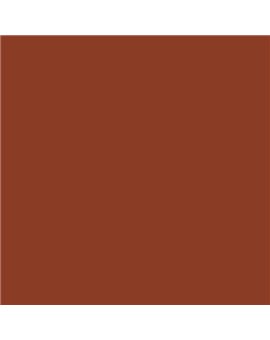 PLASTICO JUNOPROF MATE CALIDAD SUPERIOR (OFERTA) COLOR S 4550-Y70R