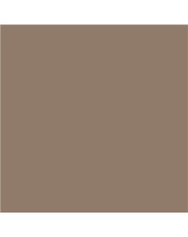 PLASTICO JUNOPROF MATE CALIDAD SUPERIOR (OFERTA) COLOR S 5010-Y50R