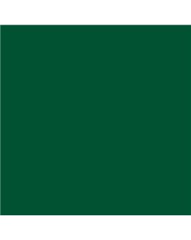 PLASTICO JUNOPROF MATE CALIDAD SUPERIOR (OFERTA) COLOR S 5540-G
