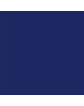 PLASTICO JUNOPROF MATE CALIDAD SUPERIOR (OFERTA) COLOR S 5540-R70B