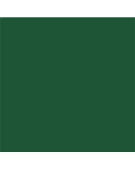 PLASTICO JUNOPROF MATE CALIDAD SUPERIOR (OFERTA) COLOR S 6030-G10Y