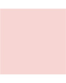 PLASTICO JUNOPROF MATE CALIDAD SUPERIOR (OFERTA) COLOR SV 039