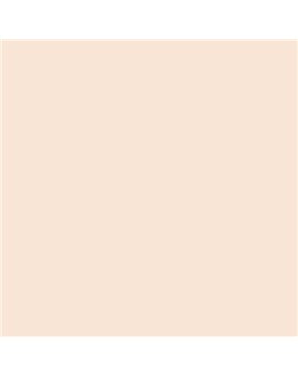 ESMALTE AL AGUA AQUALAC BRILLANTE (OFERTA) COLOR S 0507-Y60R