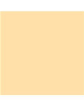 ESMALTE AL AGUA AQUALAC BRILLANTE (OFERTA) COLOR S 0520-Y20R