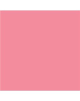 ESMALTE AL AGUA AQUALAC BRILLANTE (OFERTA) COLOR S 0550-R10B