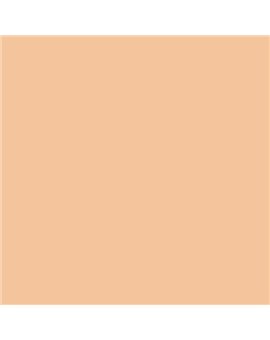 ESMALTE AL AGUA AQUALAC BRILLANTE (OFERTA) COLOR S 1020-Y40R