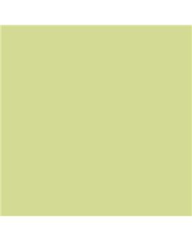 ESMALTE AL AGUA AQUALAC BRILLANTE (OFERTA) COLOR S 1030-G60Y
