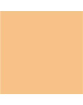 ESMALTE AL AGUA AQUALAC BRILLANTE (OFERTA) COLOR S 1030-Y30R