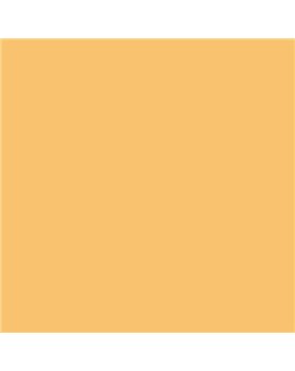 ESMALTE AL AGUA AQUALAC BRILLANTE (OFERTA) COLOR S 1040-Y20R