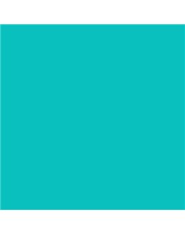 ESMALTE AL AGUA AQUALAC BRILLANTE (OFERTA) COLOR S 1050-B50G