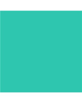 ESMALTE AL AGUA AQUALAC BRILLANTE (OFERTA) COLOR S 1050-B80G