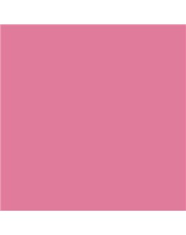 ESMALTE AL AGUA AQUALAC BRILLANTE (OFERTA) COLOR S 1050-R20B