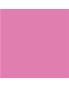 ESMALTE AL AGUA AQUALAC BRILLANTE (OFERTA) COLOR S 1050-R30B