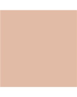 ESMALTE AL AGUA AQUALAC BRILLANTE (OFERTA) COLOR S 1515-Y60R