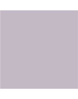 ESMALTE AL AGUA AQUALAC BRILLANTE (OFERTA) COLOR S 2010-R50B