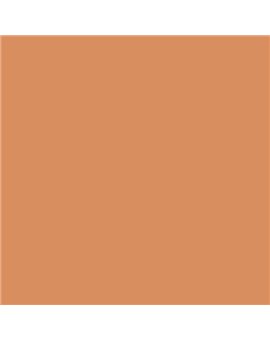 ESMALTE AL AGUA AQUALAC BRILLANTE (OFERTA) COLOR S 2040-Y50R