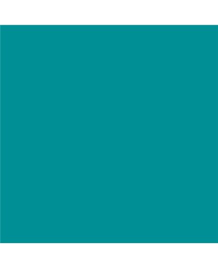ESMALTE AL AGUA AQUALAC BRILLANTE (OFERTA) COLOR S 2555-B40G ESMALTE AL AGUA AQUALAC BRILLANTE (OFERTA) COLOR S 2555-B40G