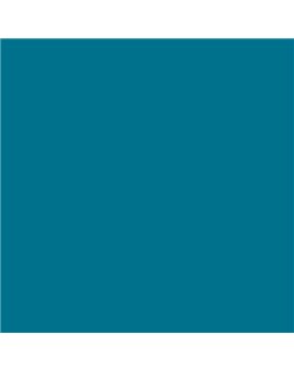 ESMALTE AL AGUA AQUALAC BRILLANTE (OFERTA) COLOR S 3060-B20G