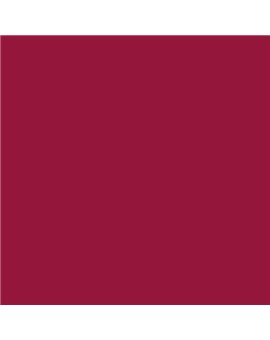 ESMALTE AL AGUA AQUALAC BRILLANTE (OFERTA) COLOR S 3060-R10B