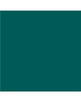 ESMALTE AL AGUA AQUALAC BRILLANTE (OFERTA) COLOR S 5040-B60G