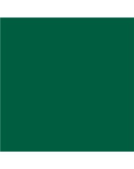 ESMALTE AL AGUA AQUALAC BRILLANTE (OFERTA) COLOR S 5040-G