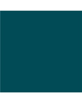 ESMALTE AL AGUA AQUALAC BRILLANTE (OFERTA) COLOR S 5540-B30G
