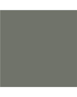 ESMALTE AL AGUA AQUALAC BRILLANTE (OFERTA) COLOR S 6005-G50Y