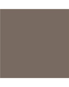 ESMALTE AL AGUA AQUALAC BRILLANTE (OFERTA) COLOR S 6005-Y50R