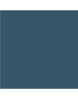 ESMALTE AL AGUA AQUALAC BRILLANTE (OFERTA) COLOR S 6020-B