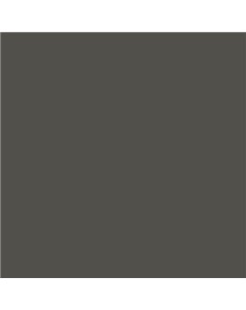 ESMALTE AL AGUA AQUALAC BRILLANTE (OFERTA) COLOR S 7502-Y