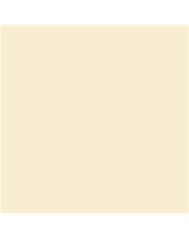ESMALTE AL AGUA AQUALAC SATINADO (OFERTA) COLOR S 0507-Y20R