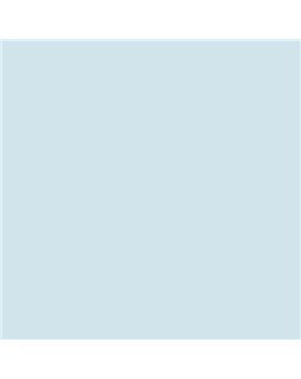 ESMALTE AL AGUA AQUALAC SATINADO (OFERTA) COLOR S 0510-B