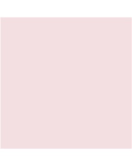 ESMALTE AL AGUA AQUALAC SATINADO (OFERTA) COLOR S 0510-R20B
