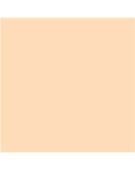 ESMALTE AL AGUA AQUALAC SATINADO (OFERTA) COLOR S 0515-Y40R
