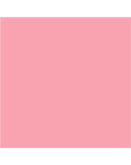 ESMALTE AL AGUA AQUALAC SATINADO (OFERTA) COLOR S 0540-R10B