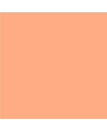 ESMALTE AL AGUA AQUALAC SATINADO (OFERTA) COLOR S 0540-Y60R ESMALTE AL AGUA AQUALAC SATINADO (OFERTA) COLOR S 0540-Y60R