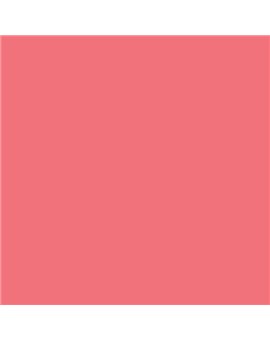 ESMALTE AL AGUA AQUALAC SATINADO (OFERTA) COLOR S 0560-R