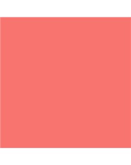 ESMALTE AL AGUA AQUALAC SATINADO (OFERTA) COLOR S 0560-Y90R