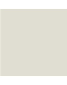 ESMALTE AL AGUA AQUALAC SATINADO (OFERTA) COLOR S 1002-Y