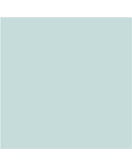 ESMALTE AL AGUA AQUALAC SATINADO (OFERTA) COLOR S 1010-B50G