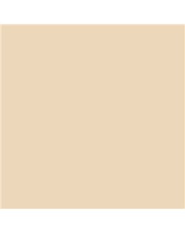 ESMALTE AL AGUA AQUALAC SATINADO (OFERTA) COLOR S 1010-Y30R
