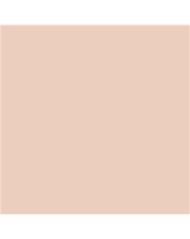 ESMALTE AL AGUA AQUALAC SATINADO (OFERTA) COLOR S 1010-Y70R