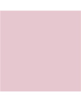 ESMALTE AL AGUA AQUALAC SATINADO (OFERTA) COLOR S 1015-R20B