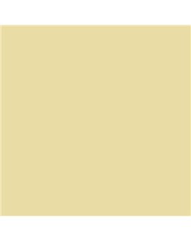 ESMALTE AL AGUA AQUALAC SATINADO (OFERTA) COLOR S 1020-G90Y