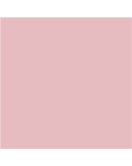 ESMALTE AL AGUA AQUALAC SATINADO (OFERTA) COLOR S 1020-R10B