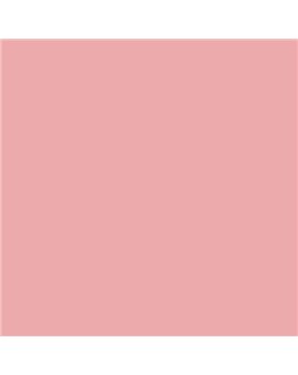 ESMALTE AL AGUA AQUALAC SATINADO (OFERTA) COLOR S 1030-R
