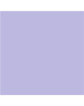 ESMALTE AL AGUA AQUALAC SATINADO (OFERTA) COLOR S 1030-R60B